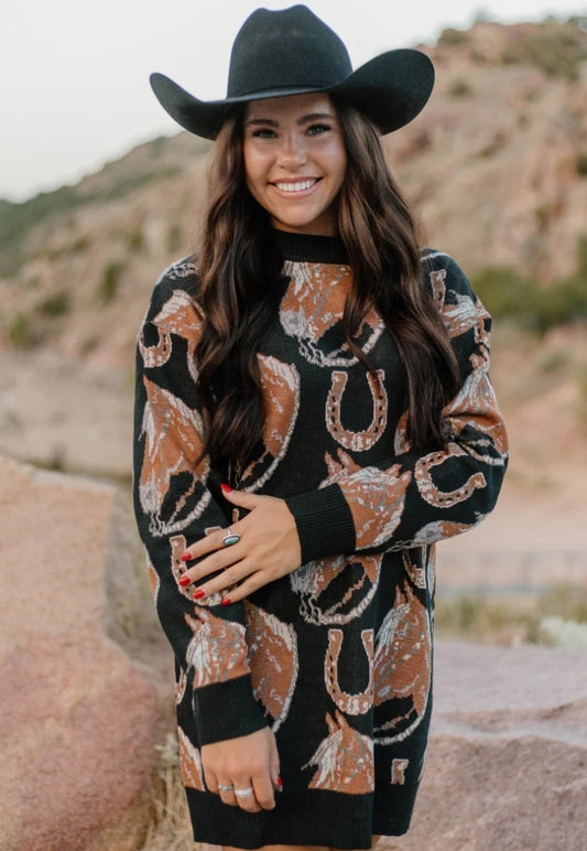 The Ruidoso Sweater Dress