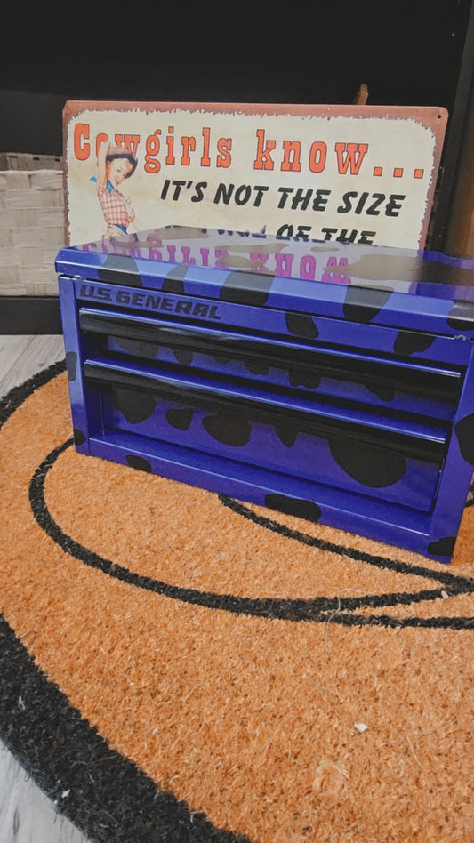 Toolbox Jewelry Box Purple